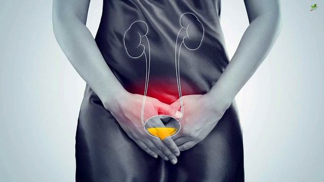 Watch For 7 Early Signs of Kidney Failure смотреть онлайн