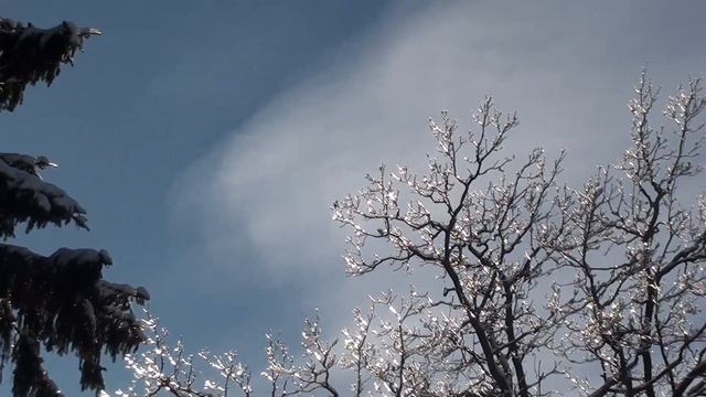 Мороз и Солнце 7 января 2011 г. смотреть онлайн
