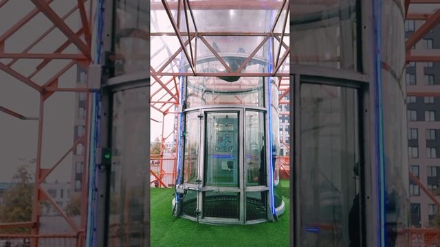 Була Питер2024 смотреть онлайн