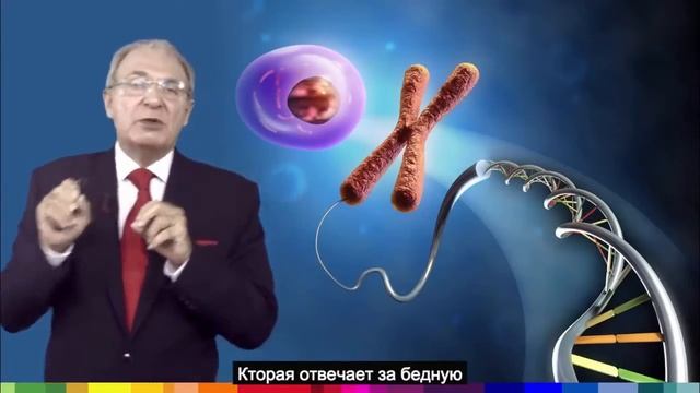 Jeunesse Longevity TV Episode 3 Understanding Aging RUS смотреть онлайн
