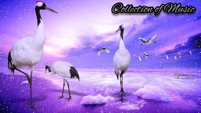 Капа - Журавли смотреть онлайн