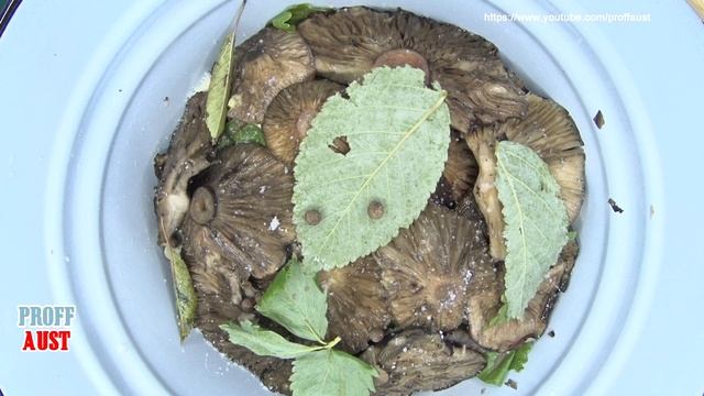 Nourishing Nutrition