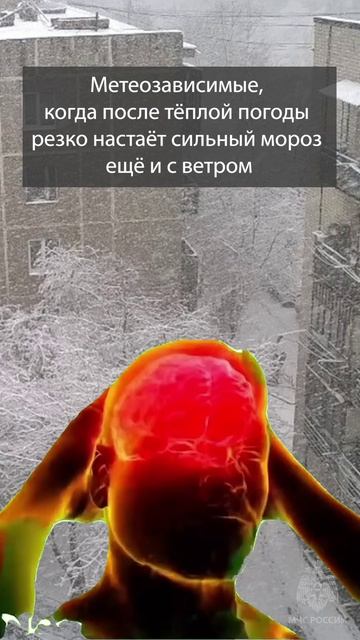 Метеозависимые, держитесь! смотреть онлайн