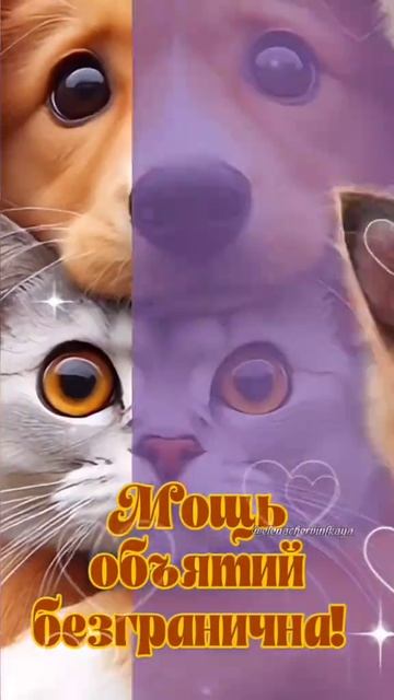 милое видео ко дню объятий.mp4