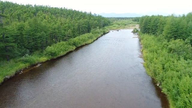 Магадан дорога на Клепку нерестовый ручей запись 2017г в 4к DJI 0344 смотреть онлайн