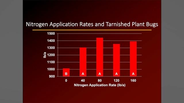 Bobby Golden - Optimizing Cotton Yield смотреть онлайн