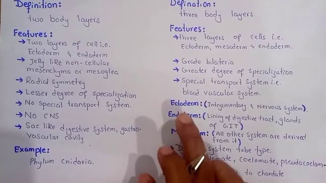 Diploblastic And Triploblastic Organization | Kingdom Animalia | Class 11 смотреть онлайн