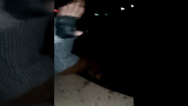 Лягушка Джаюджитцу смотреть онлайн