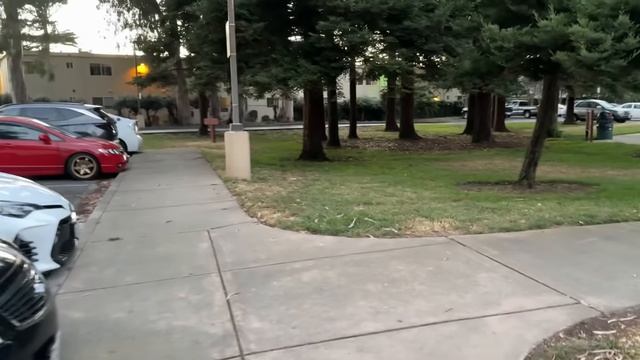 Бэй Эрия это лучшее место в Америке!