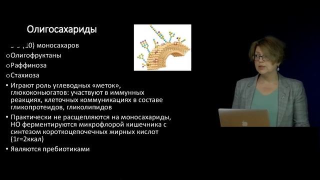 10 Функциональное значение макронутриентов в питании человека Углеводы Характеристика отдельных ви смотреть онлайн