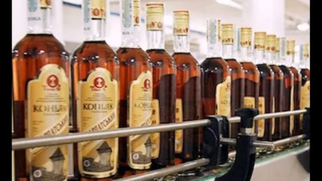 Отчет о поездке в Севастополь смотреть онлайн