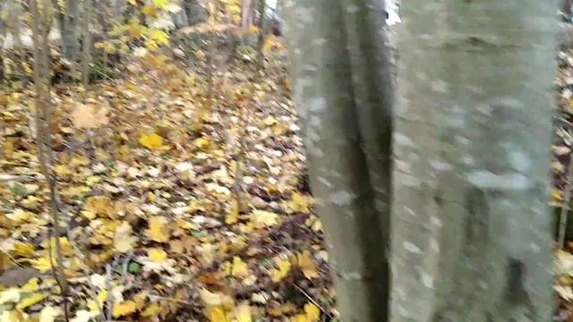 10 октября 2021 г. смотреть онлайн