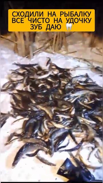 Удачная рыбалка смотреть онлайн