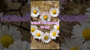 пой эту песню если ты...🌷💮🌸