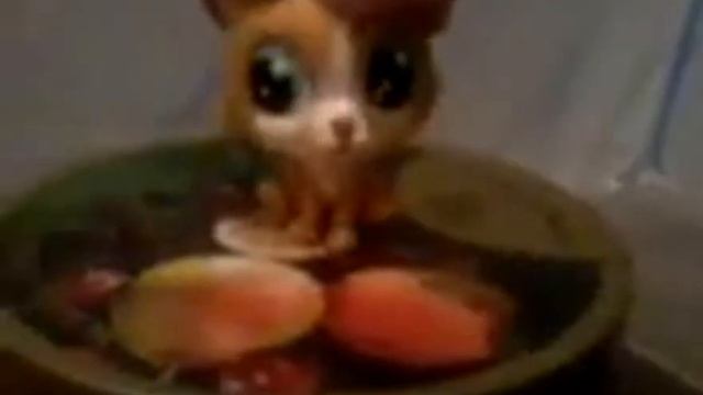 Do it Leo/Сделай это Лео/1 выпуск/ смотреть онлайн