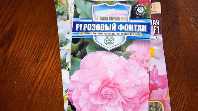 В гостях.Часть 3.