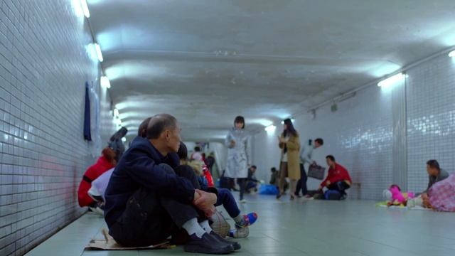 【都市感情剧】危险情人32|靳东邂逅职场美女刘涛，暧昧之时被绿茶男截胡，看靳东如何一把手撕王鹤棣真面目！#刘涛 #王鹤棣 #杨紫 #靳东 #白鹿 #Chinesedrama смотреть онлайн