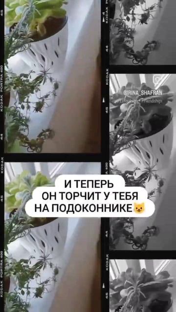 Сад, огород, дача - круглый год! смотреть онлайн