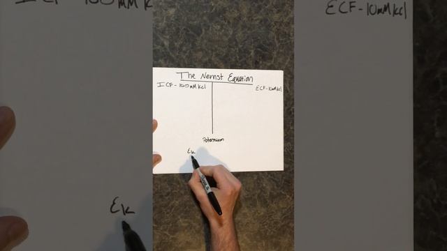 LPA 2C - Nernst Equation смотреть онлайн