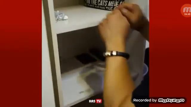 Лучшие вайны от секи 2019 года смотреть онлайн