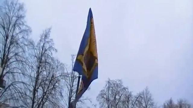 Пикет ТИГР против транспортного налога смотреть онлайн