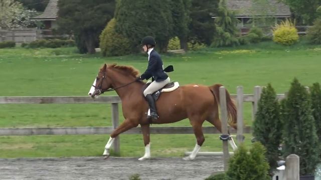 Time Frame AKA Geppetto sale horse mp4 @ смотреть онлайн