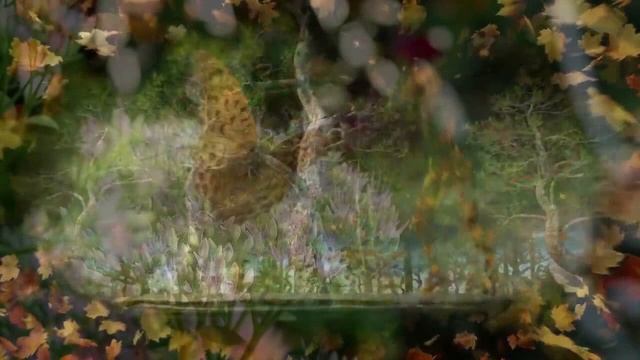 Параллельно смотреть онлайн