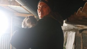 СТЁПА - добряк или нет? Молодая семья НУТРИЙ. 28.12.24