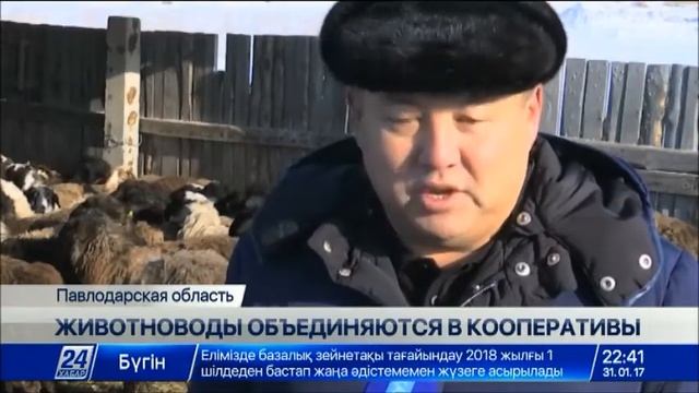 Павлодарские животноводы выступают с инициативой создать кооперативы смотреть онлайн
