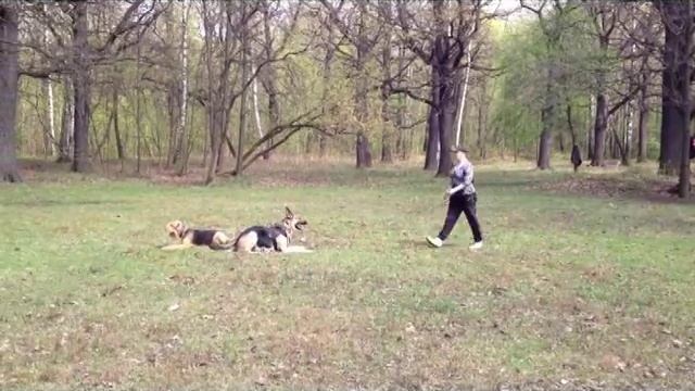 Встречное движение смотреть онлайн