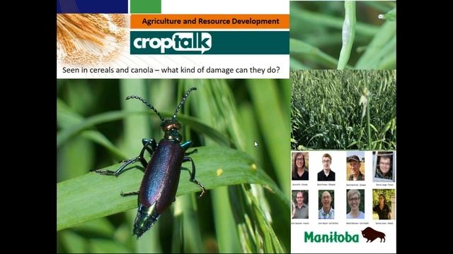 CropTalk July 29 смотреть онлайн