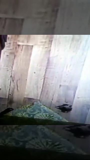 Була БПЛА смотреть онлайн