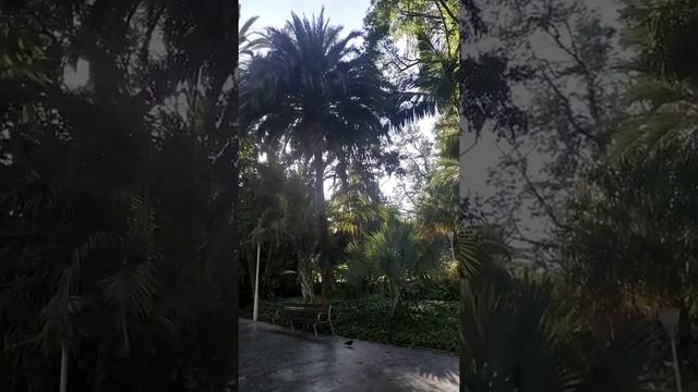 Málaga España. 2019. Прогулка по городу Málaga в Испании. Вертикальное видео для просмотра на телеф смотреть онлайн