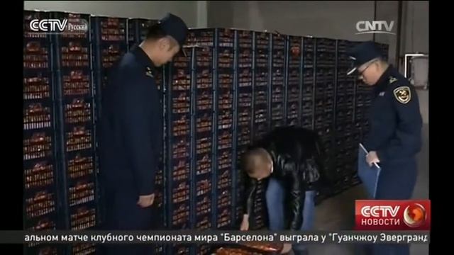 Китай и Кыргызстан открыл "зелёный корридор" для сельскохозпродукции смотреть онлайн