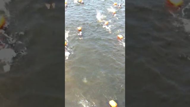 Заплыв Питер 2019 вокруг Петропавловской крепости смотреть онлайн