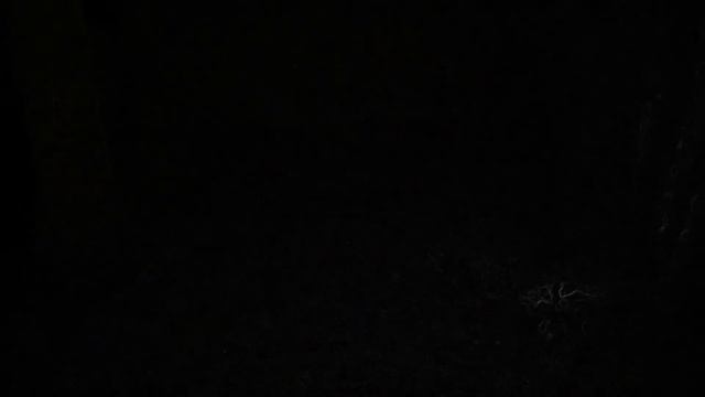 Rock Mode (DISORDER)