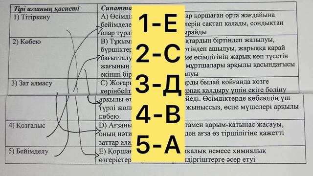 5 сынып жаратылыстану 3 тоқсан бжб 1
жаратылыстану 5 сынып 3 тоқсан бжб смотреть онлайн