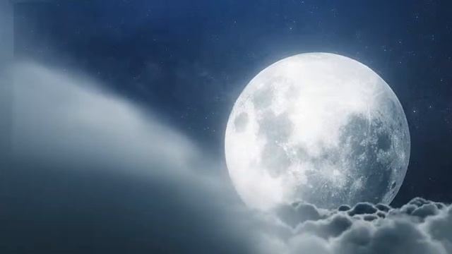 Prism Studio live stream test смотреть онлайн