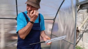 Как своими руками сделать автоматическое проветривание теплицы