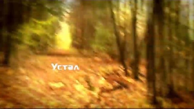 MULTIMA INTERNET смотреть онлайн