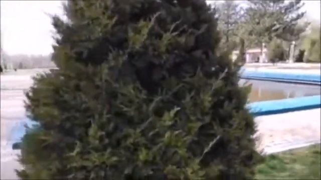 УЗБЕКИСТАН ЧИРЧИК ПАМЯТНИК ЖУРАВЛЕЙ МАРТ 2018 г смотреть онлайн