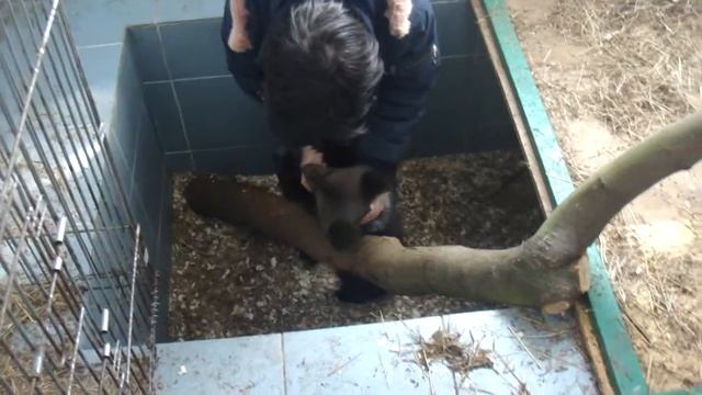 Взвешивание пациента смотреть онлайн