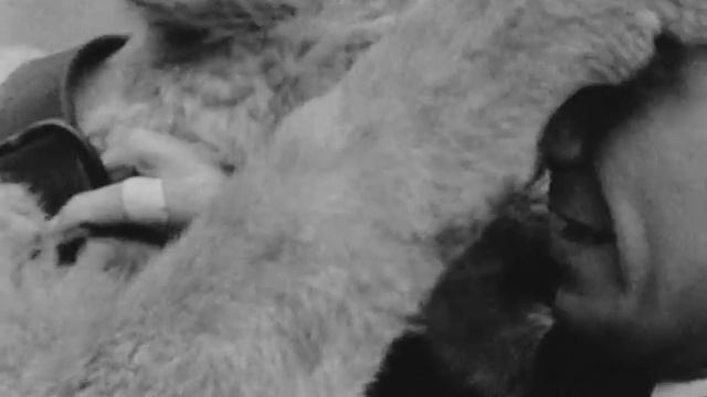 Pet Lioness In Garage - Cardiff 27.2.69 смотреть онлайн
