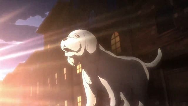 JoJo AMV смотреть онлайн