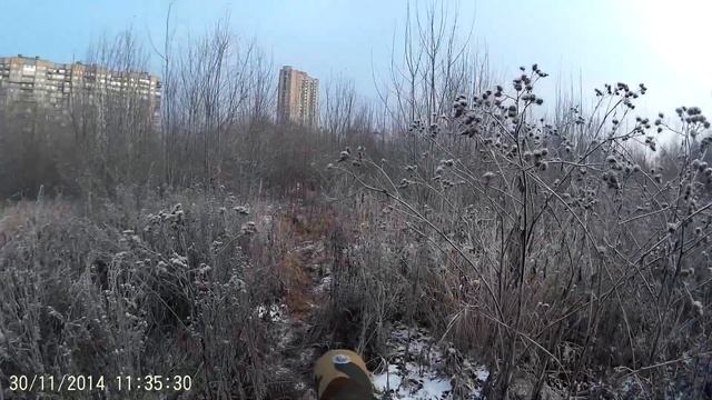 игра лт 30-11-14 # 2 смотреть онлайн