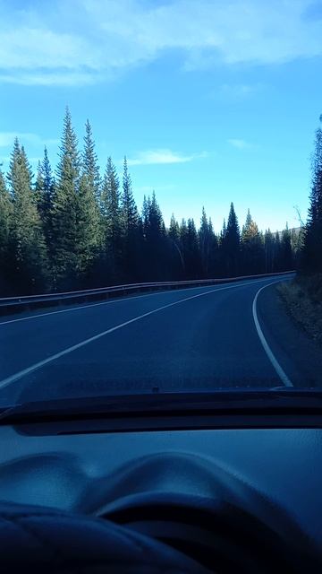 Семинский перевал. дорога.Красота!Кедры, сосны, ели. Горный Алтай.