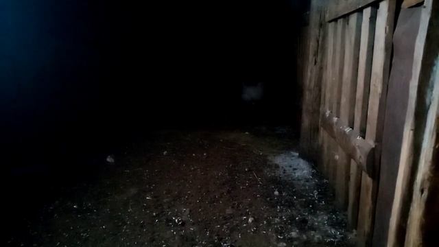 Ақ тауық жөніңде.(ломан браун) балапаны смотреть онлайн