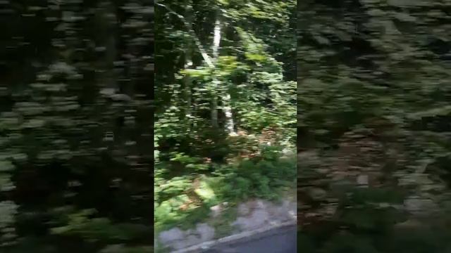 Серпантин в Черногории смотреть онлайн