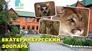ЕКАТЕРИНБУРГСКИЙ ЗООПАРК / что можно посмотреть? /январь 2025г / 4К