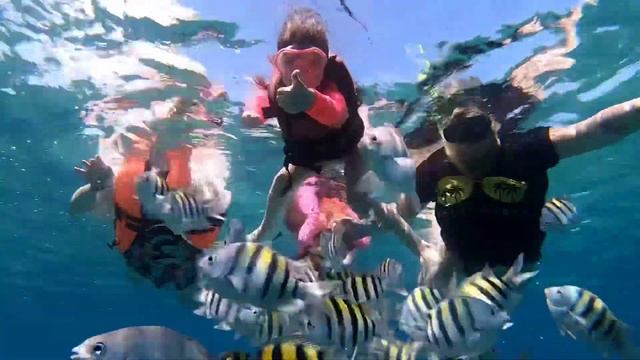 Snorkeling Off Melia Peninsula Varadero